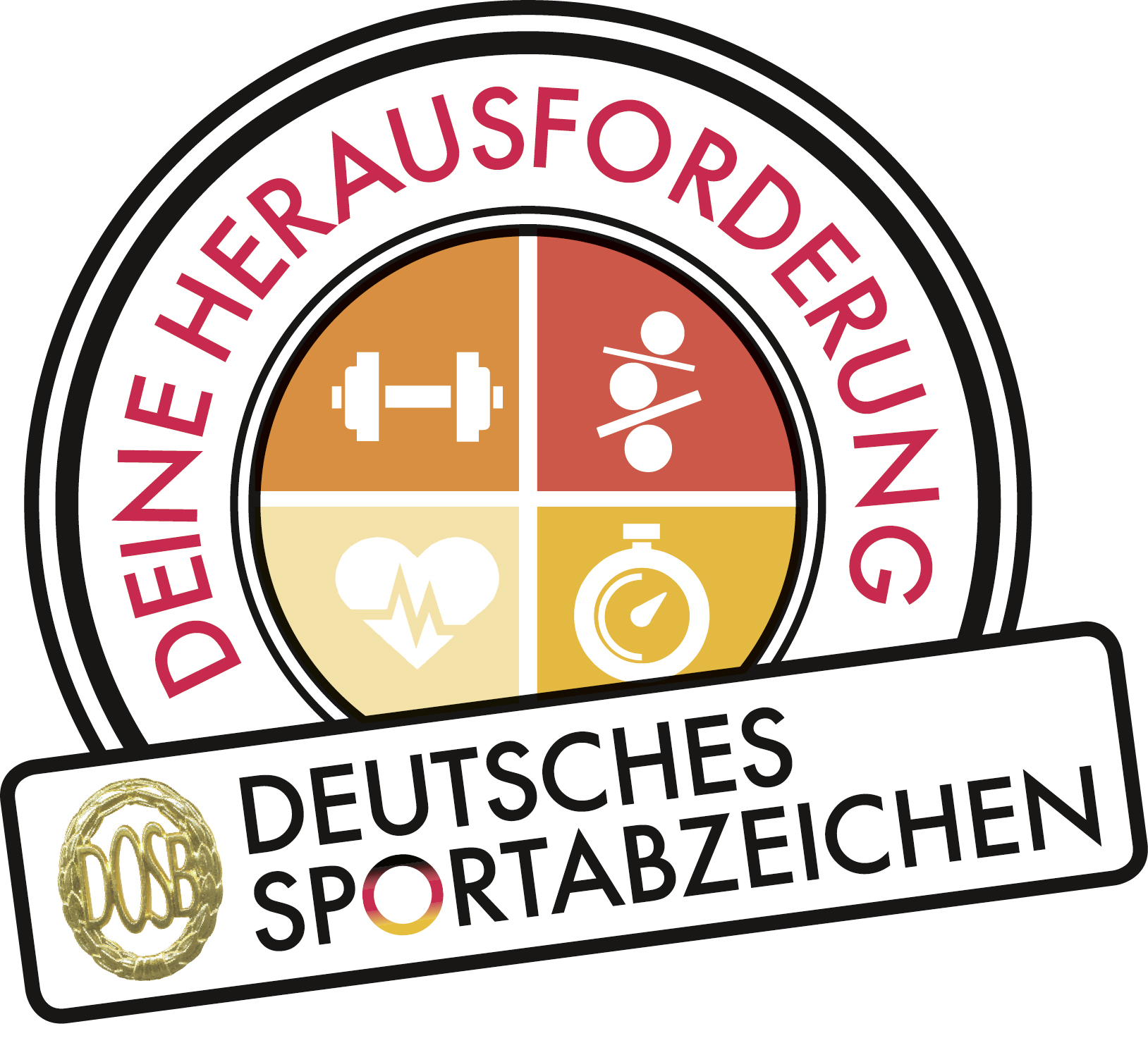 DSA Logo Herausforderung 2015
