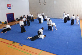 Aikido Lehrgang mit Adrien Halm im März 2017